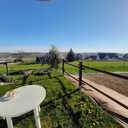 Location Type Gite, Chambre D'Hote, Meuble De Tourisme Dans Joli Petit Chalet Typique Et Ou Jolie Roulotte Type Boheme Waldighoffen Exteriör bild