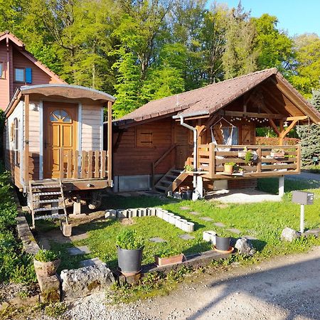 Location Type Gite, Chambre D'Hote, Meuble De Tourisme Dans Joli Petit Chalet Typique Et Ou Jolie Roulotte Type Boheme Waldighoffen Exteriör bild