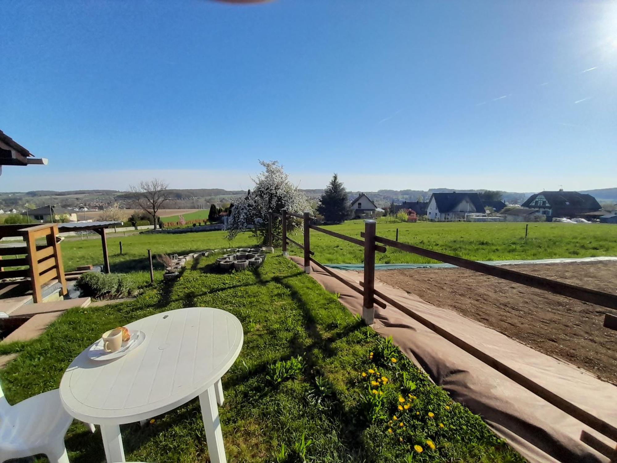 Location Type Gite, Chambre D'Hote, Meuble De Tourisme Dans Joli Petit Chalet Typique Et Ou Jolie Roulotte Type Boheme Waldighoffen Exteriör bild